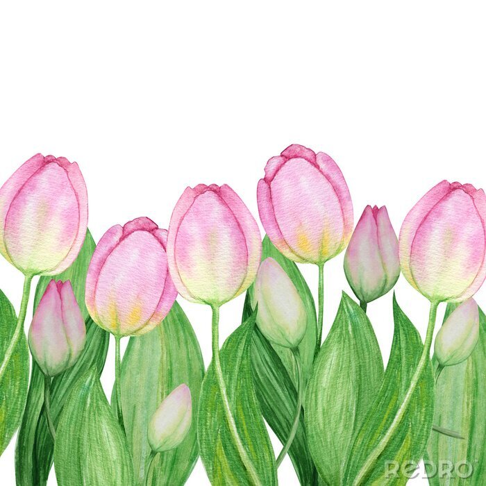Poster  Tulipes roses sur des brindilles délicates