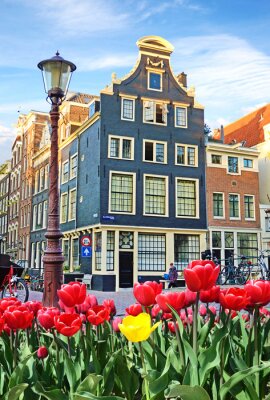 Poster  Tulipes rouges d'Amsterdam et vélos sur la place