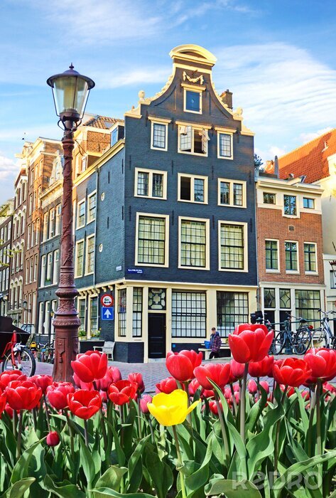 Poster  Tulipes rouges d'Amsterdam et vélos sur la place