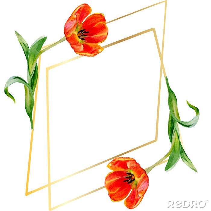 Poster  Tulipes rouges dans un cadre géométrique