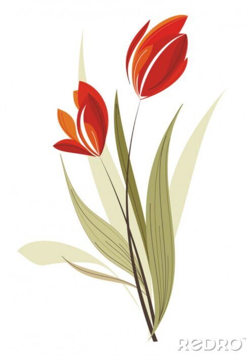 Poster  Tulipes rouges et feuilles sans contours