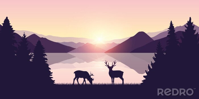 Poster  two reindeers by the lake at sunrise wildlife nature landscape vector illustration EPS10