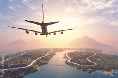 Poster  Un avion survolant une île tropicale