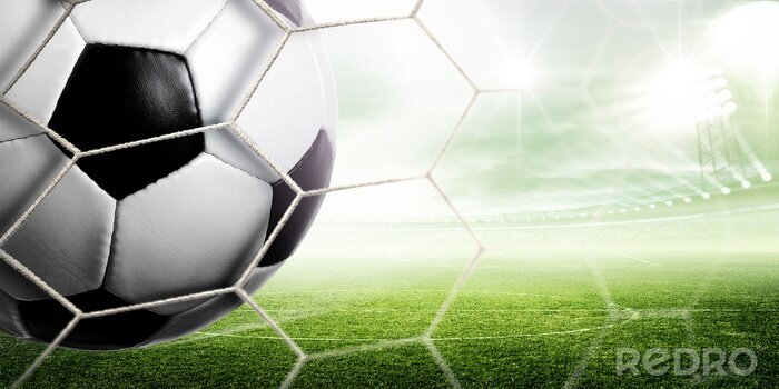 Poster  Un ballon de football sur un fond vert