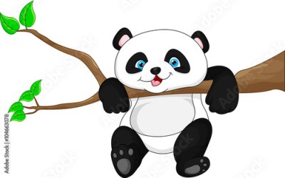 Poster  Un bébé panda accroché à une branche