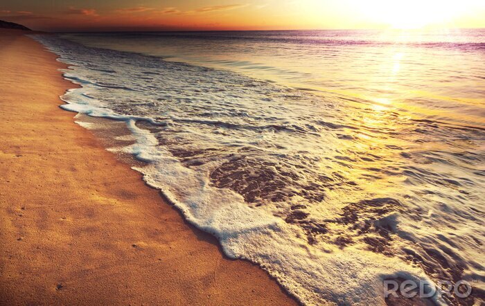 Poster  Un bord de mer au milieu de nulle part