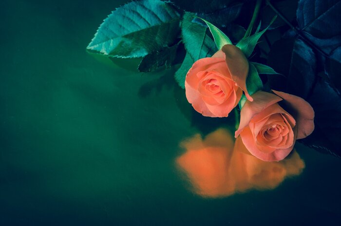 Poster  Un bouquet de fleurs décoratives sur fond saphir