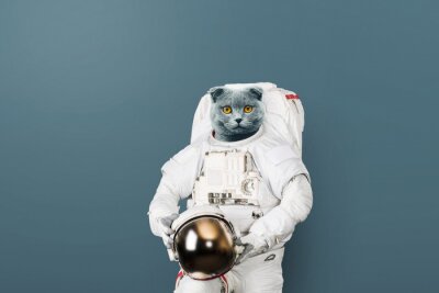 Poster  Un charmant chaton astronaute 