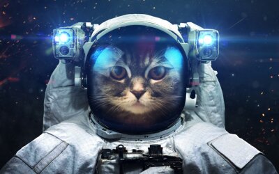 Poster  Un chat astronaute dans l'espace