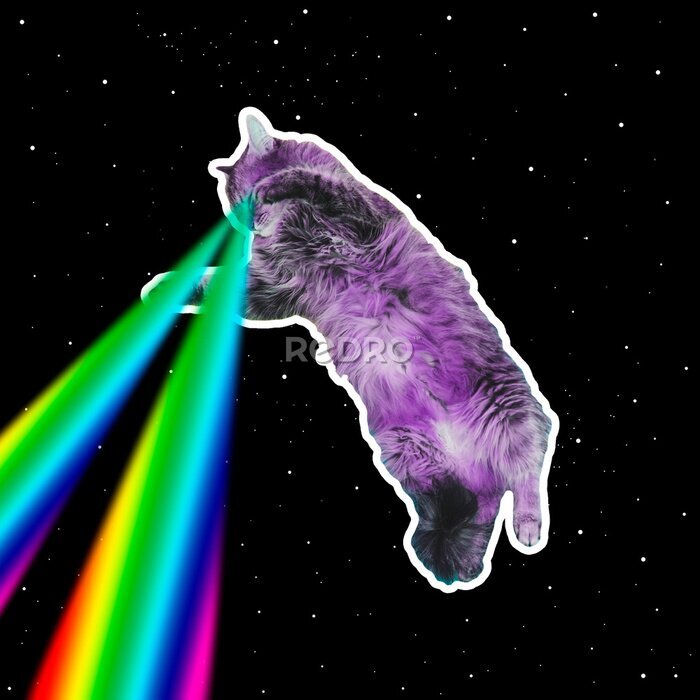 Poster  Un chat avec des lasers arc-en-ciel