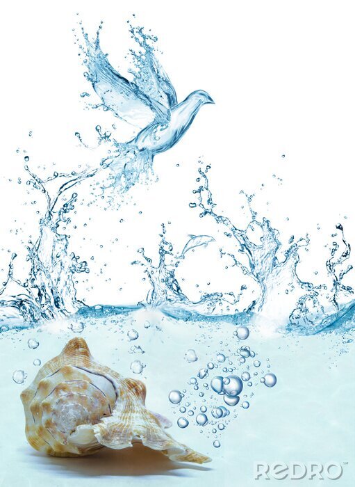 Poster  Un coquillage immergé dans l'eau et un oiseau aquatique