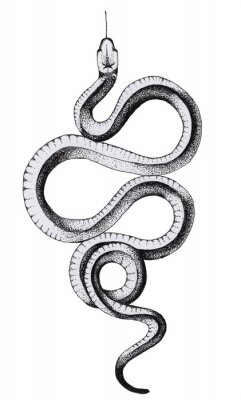 Poster  Un dessin minimaliste d'un serpent avec sa langue tirée