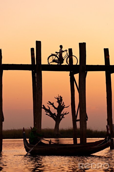 Poster  Un garçon avec un vélo sur le pont