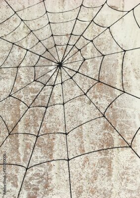 Poster  Un graphique représentant une toile d'araignée sur un fond en béton