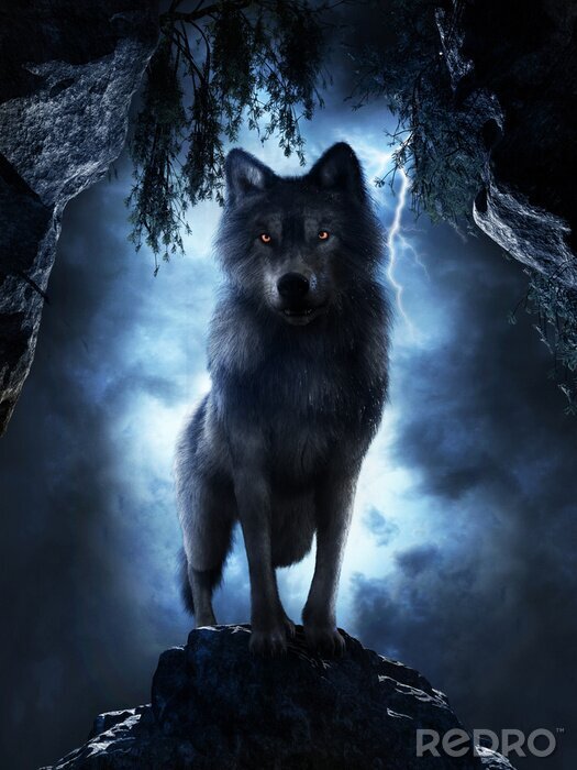 Poster  Un loup dans une lueur brillante
