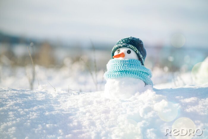 Poster  Un petit bonhomme de neige dans une écharpe et un chapeau