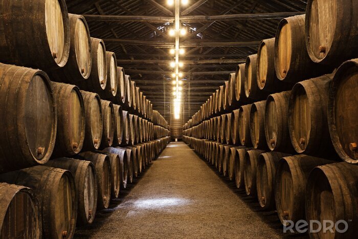 Poster  Un vaste chai de Porto rempli de barriques de vin