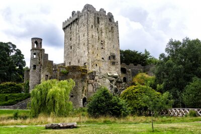 Poster  Un vieux château en Irlande