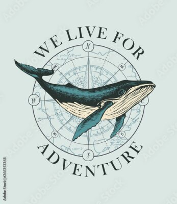 Poster  Une baleine sur fond de rose des vents