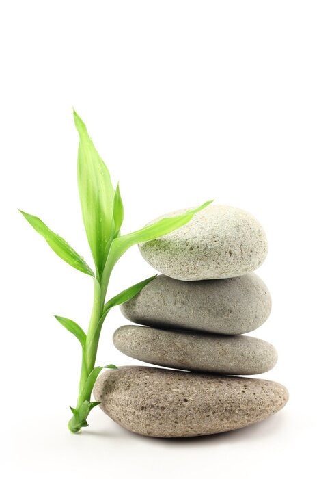 Poster  Une branche de bambou appuyée contre un tas de pierres