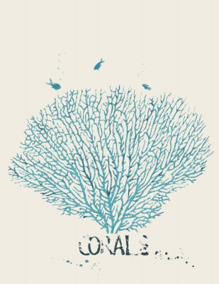 Poster  Une branche de corail se détachant sur un fond blanc