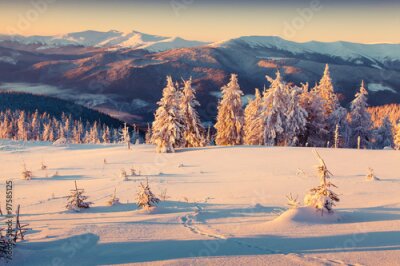 Poster  Une clairière de montagne enneigée