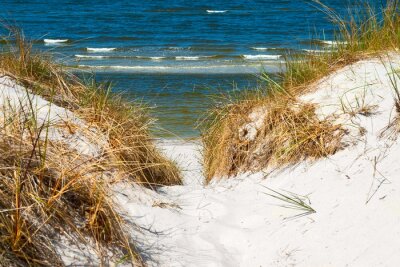Poster  Une dune en bord de mer