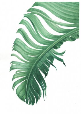Une feuille de palmier pliée