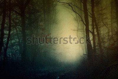 Poster  Une forêt sombre au crépuscule, avec une lueur vive en son centre.