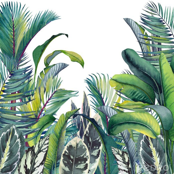 Poster  Une jungle lumineuse pleine de plantes