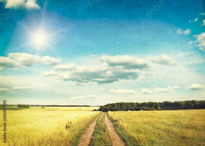 Poster  Une prairie photographiée dans un style nostalgique