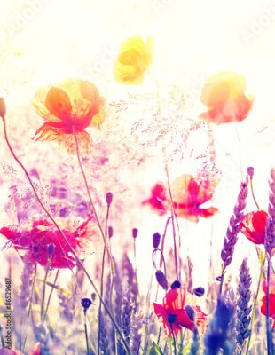 Poster  Une prairie pleine de fleurs sauvages sous la lumière du lever du soleil
