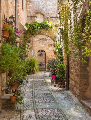 Poster  Une rue charmante avec un portail en arc de cercle