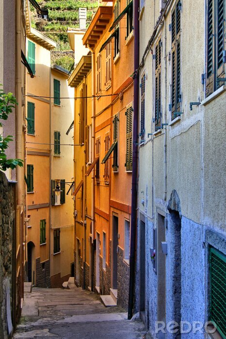 Poster  Une rue italienne avec de hautes maisons