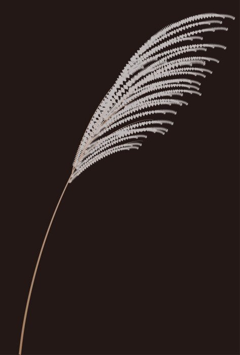 Poster  Une tige d'herbe ornementale sur fond noir