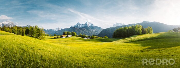 Poster  Une vallée verdoyante avec vue sur les Alpes