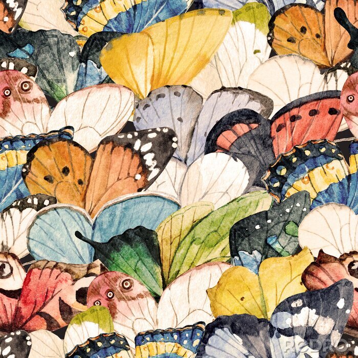 Poster  Une volée de papillons colorés