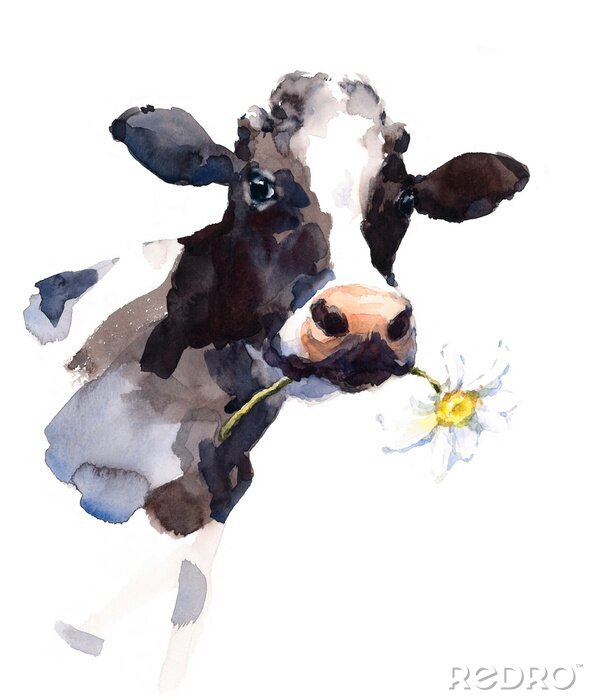 Poster  Vache noire et blanche avec une fleur dans sa bouche aquarelle