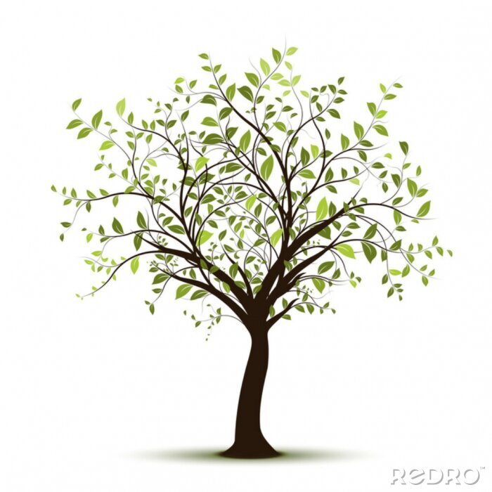 Poster  vecteur série, arbre vectoriel blanc fond - arbre vert sur fond blanc