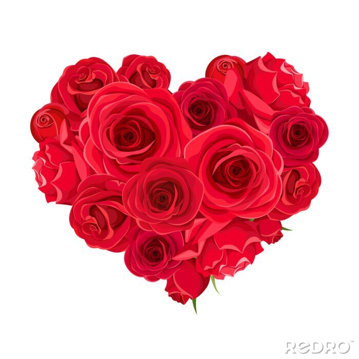 Poster  Vector Valentine’s day heart of red roses isolated on a white background.