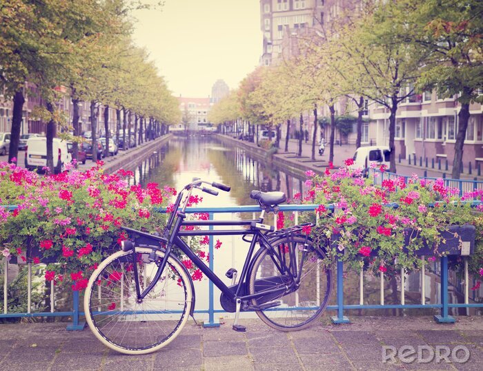 Poster  Vélos à Amsterdam dans le contexte du canal