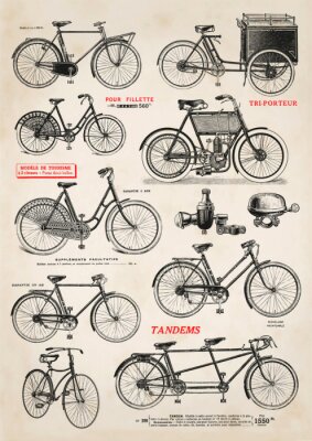 Poster  Vélos rétro illustration