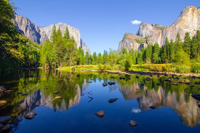 Poster  Verdure des montagnes rocheuses et lac