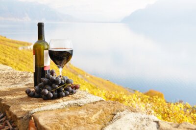 Verre de vin rouge sur le vignoble de terrasse dans la région de Lavaux, Swit