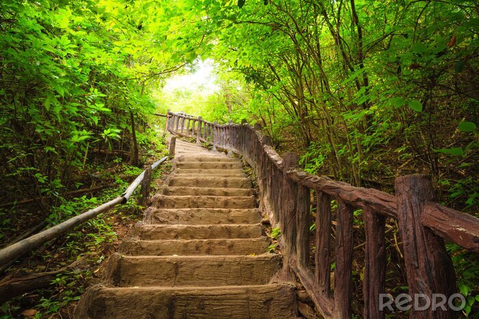 Poster  Vieil escalier en bois en Thaïlande