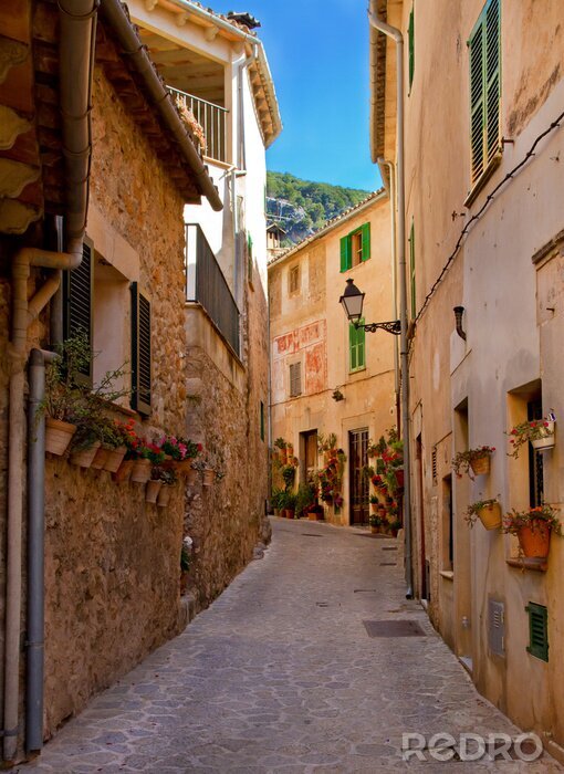 Poster  Village en pierre paysage de montagne