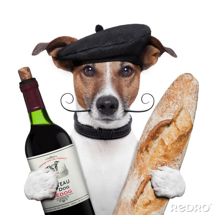 Poster  vin français baguette béret de chien