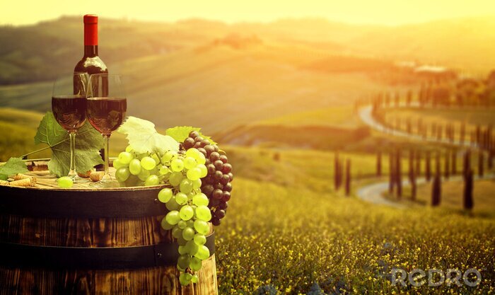 Poster  Vin rouge avec le baril sur vigne en vert Toscane, Italie