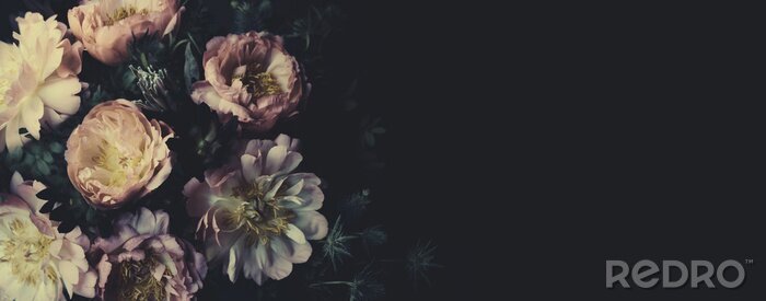 Poster  Vintage bouquet of beautiful peonies on black. Floristic decoration. Floral background. Baroque old fashiones style. Natural flowers pattern wallpaper or greeting card