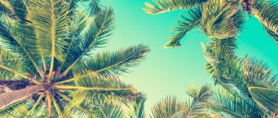 Vintage tropiques avec palmiers